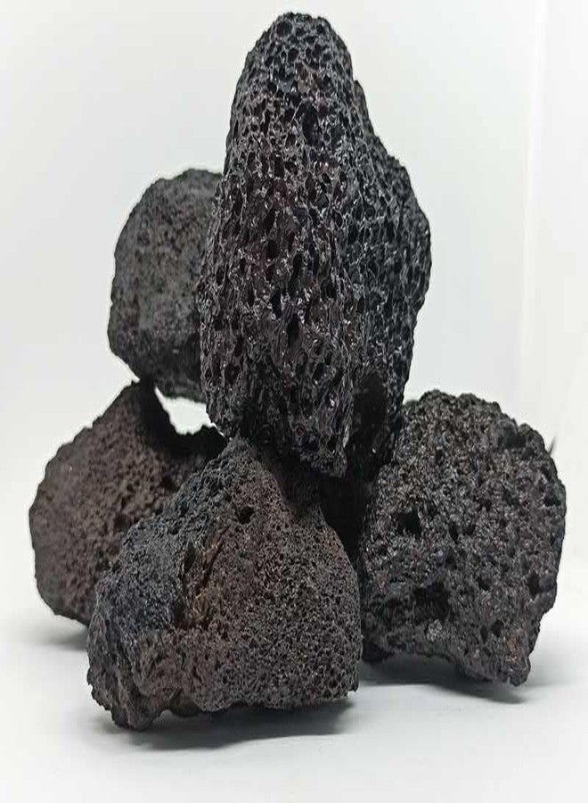 Maalavya Black Lava Rock for Aquarium Decoration and Garden Decoration (2 to 4 inch) 6 KG - Image 2
